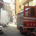 Vigili del fuoco domano l'incendio