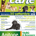 VII edizione della Festa del Cane / programma