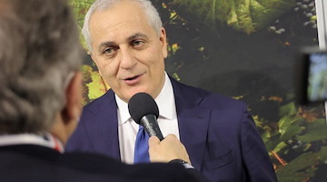 A rischio la filiera della canapa, assessore Caputo: "Chiesto al Governo di rivedere la normativa" 