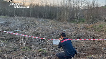 Ariano Irpino, disboscano terreno vincolato con escavatore: 2 denunce