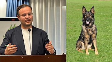 Cava de' Tirreni, Italo Cirielli interviene sul problema dei cani non custoditi