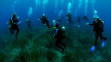 Conoscere e studiare gli habitat sommersi, in estate il nuovo Corso di Biologia Marina a Punta Campanella