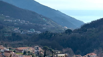 Disbosca area per realizzare pista carrabile illegale, denunciato per abusivismo ambientale a Tramonti