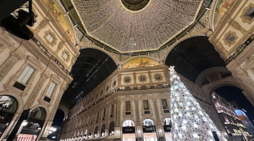 Milano, ecco l'Albero di Natale realizzato da Dior che rende omaggio alla Reggia di Versailles 