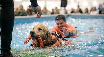 Quattrozampeinfiera Napoli 2025: un weekend imperdibile per cani, gatti e i loro umani