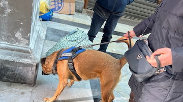 Senza fissa dimora con un cane ha un malore in strada: salvato dale guardie zoofile Oipa Napoli