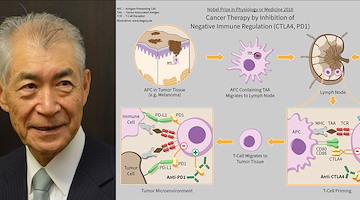 Tasuku Honjo oggetto di una bufala sul Coronavirus