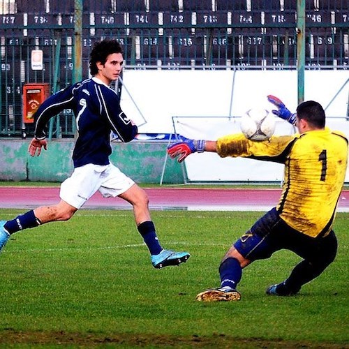 Stellato in azione