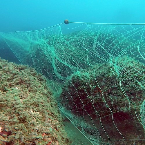 Una rete di oltre 450m rimossa dall'Area Marina Protetta Parco Sommerso Di Gaiola<br />&copy; Area Marina Protetta Parco Sommerso Di Gaiola