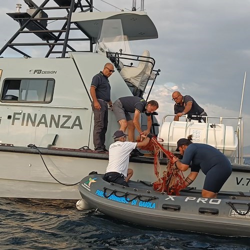 Una rete di oltre 450m rimossa dall'Area Marina Protetta Parco Sommerso Di Gaiola<br />&copy; Area Marina Protetta Parco Sommerso Di Gaiola