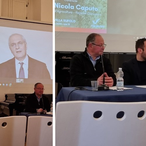 Agricoltura come forma di protezione civile del territorio: le proposte di Italia Viva Costa d’Amalfi