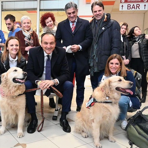 All'ospedale di Rivoli ecco la pet therapy: il reparto di rianimazione apre le porte agli amici a quattro zampe<br />&copy; Alberto Cirio