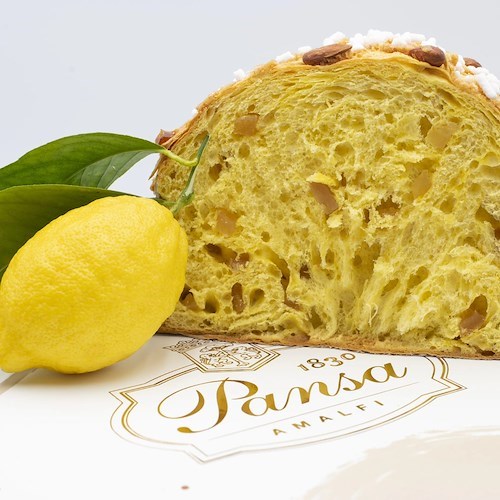 La colomba al limone di Pansa