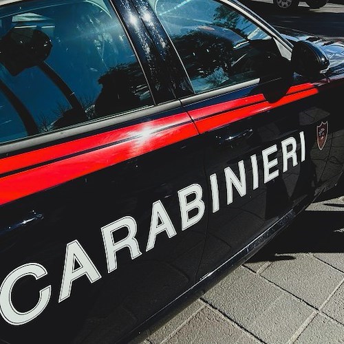 Carabinieri<br />&copy; Massimiliano D'Uva