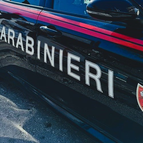 Carabinieri<br />&copy; Massimiliano D'Uva