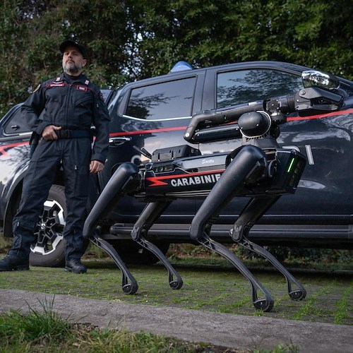 Carabinieri, entra in servizio il cane robot “Saetta”<br />&copy; Carabinieri