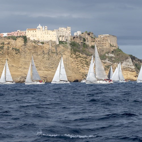 Procida Vela Cup