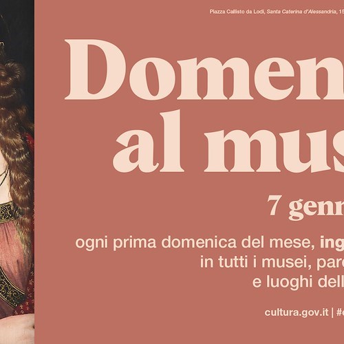 Domenica al museo