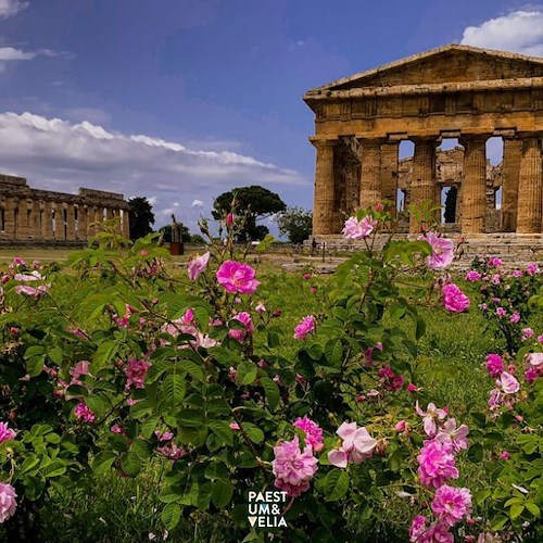 Templi di Paestum<br />&copy; Parchi archeologici di Paestum e Velia