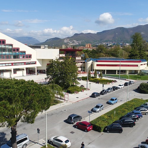 Università degli Studi di Salerno, Medicina<br />&copy; Università degli Studi di Salerno