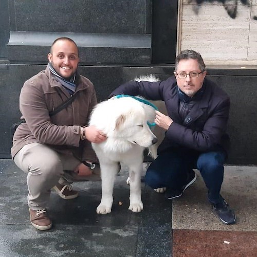 Dopo il pitbull bruciato vivo a Palermo, la storia opposta nel napoletano: Aron adottato dal suo soccorritore<br />&copy; Francesco Emilio Borrelli