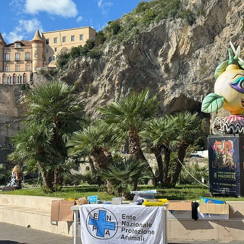 ENPA Porto di Maiori, Castello Miramare<br />&copy; Massimiliano D'Uva