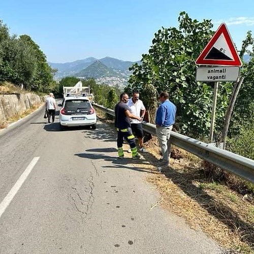 Lavori di illuminazione sull'Avvocatella<br />&copy; Comitato Civico Dragonea