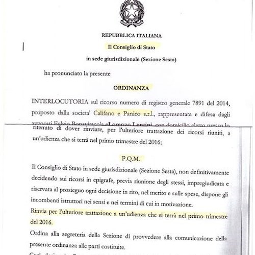 L'ordinanza del Consiglio di Stato