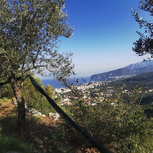 Il senso dei luoghi, a Sorrento parte un progetto di segnaletica naturalistica e culturale<br />&copy; Sorrento Walks