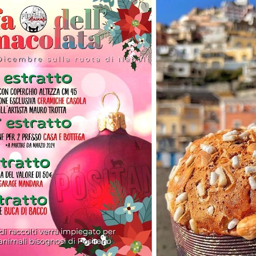 “La Riffa dell’Immacolata”, a Positano una lotteria a premi per aiutare gli animali in difficoltà<br />&copy; Positano Animali