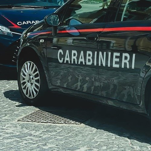 Carabinieri<br />&copy; Massimiliano D'Uva