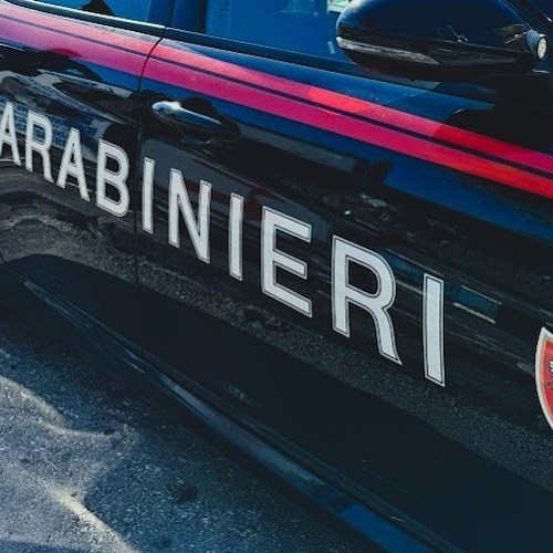 Carabinieri<br />&copy; Massimiliano D'Uva