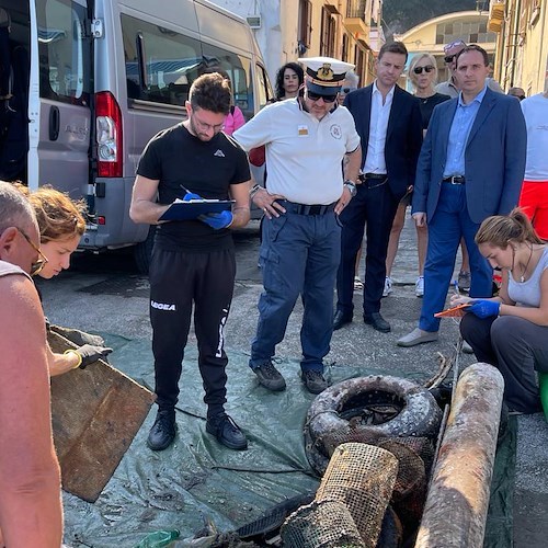 Sorrento, quattro giorni dedicati alla bonifica e alla pulizia dei fondali<br />&copy; Comune di Sorrento