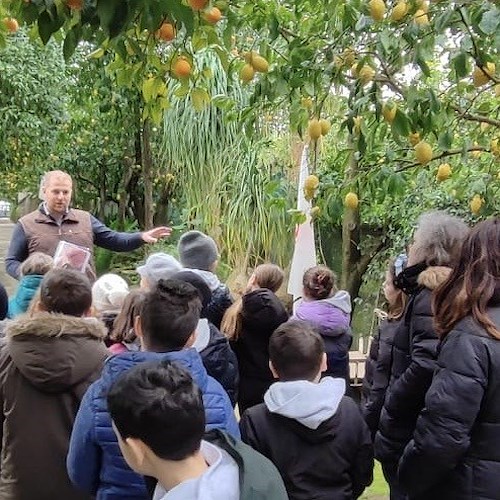 Spremuta Day a Piano di Sorrento, alunni protagonisti tra natura e tradizione