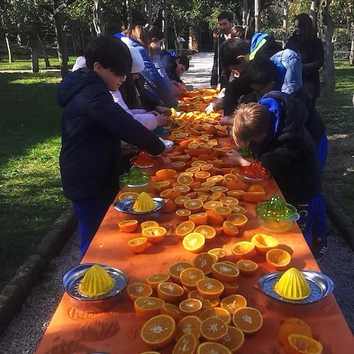 Spremuta Day in penisola sorrentina: torna il consueto appuntamento con gli alunni delle scuole primarie