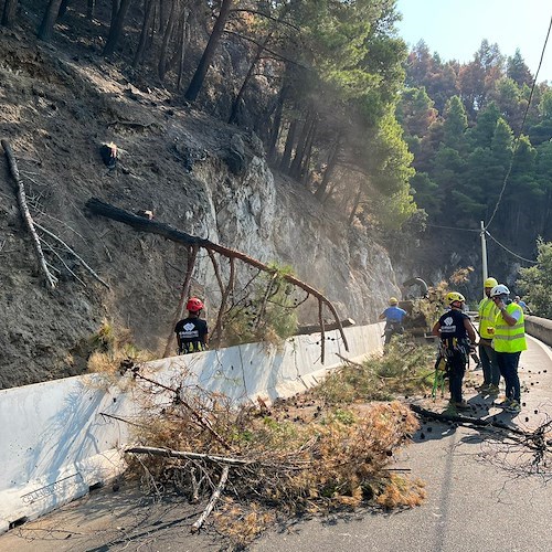 Lavori a Capo D'Orso<br />&copy; Massimiliano D'Uva