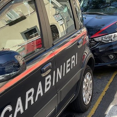 Carabinieri<br />&copy; Massimiliano D'Uva