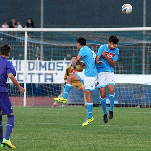 Una fase del match Fiorentina-Napoli