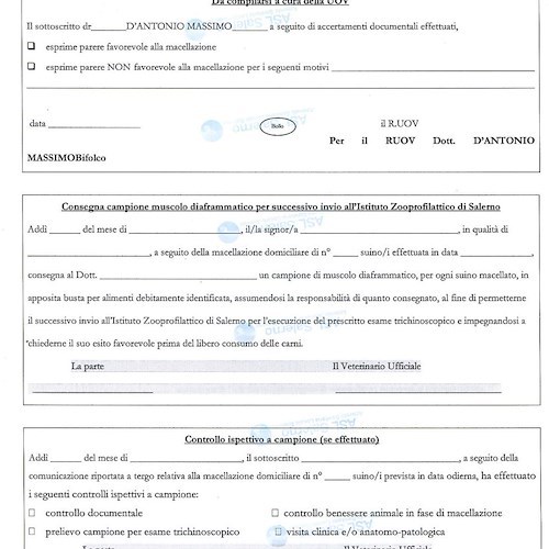 Modulo da compilare