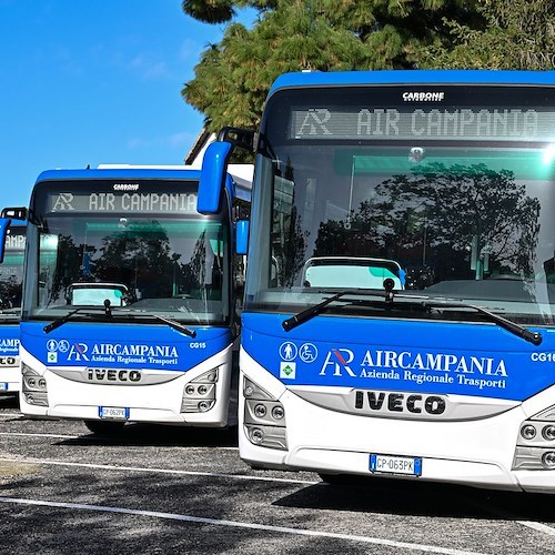 Rinnovo parco bus regionale