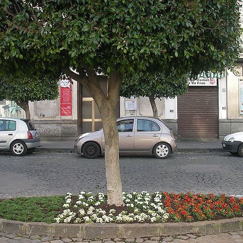 Un'aiuola tricolore in Piazza Abbro