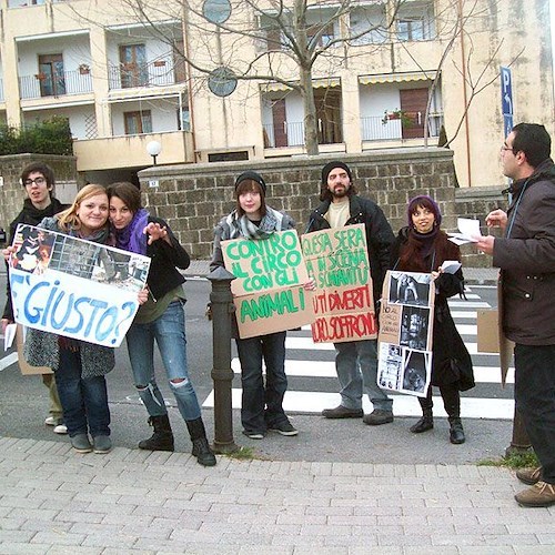 La protesta del Collettivo Animalista