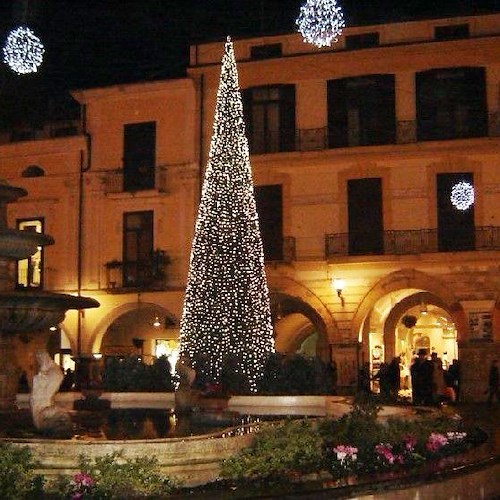 L'albero 2011