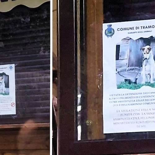 «Vietato tenere i cani legati a catena»: a Tramonti i manifesti del Garante degli Animali